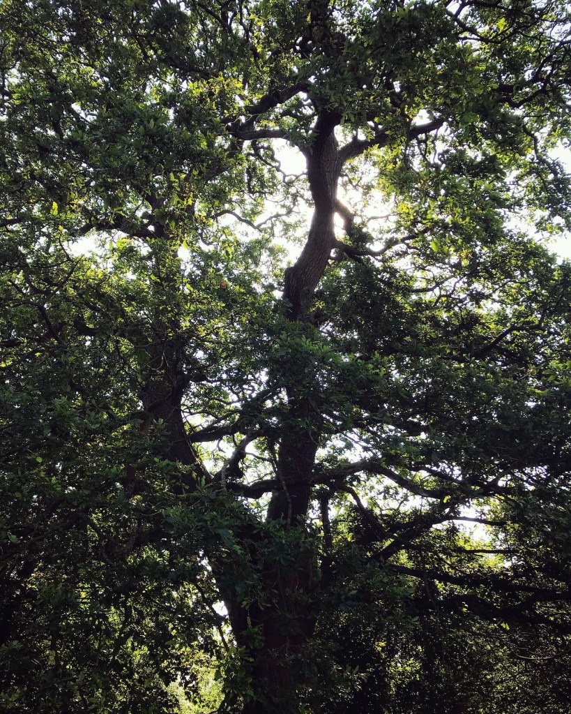 Walk around Baslow & Chatsworth.