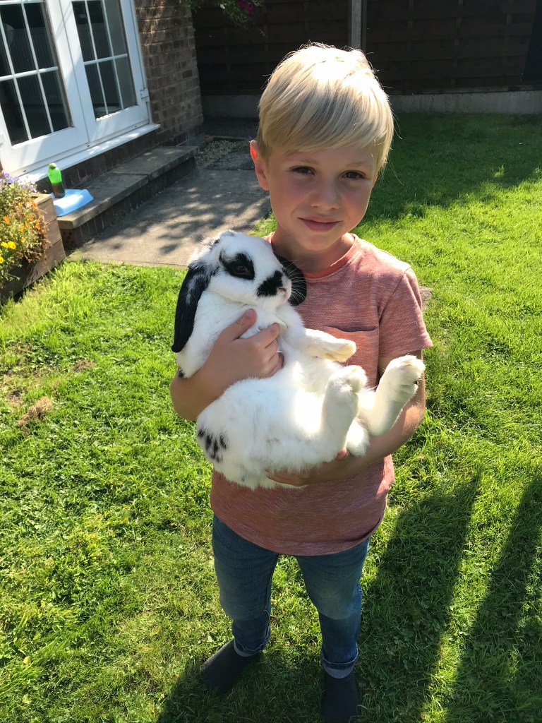 Bunny Baby!.. 😆🐰